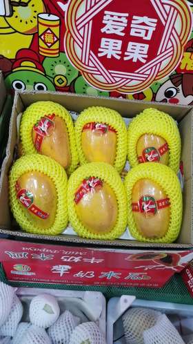 牛奶 木瓜 熟【整件】