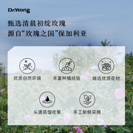 玫瑰花苞水100ml 商品图3