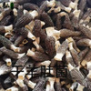 【弘毅六不用生态农场】六不用 羊肚菌 商品缩略图2