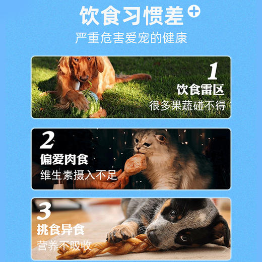 合宠(维生素B族片) 商品图2