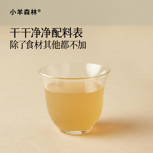 【清正饮】草本浓缩 清甜果味 养愈活力 加固正气屏障 lc 商品图5