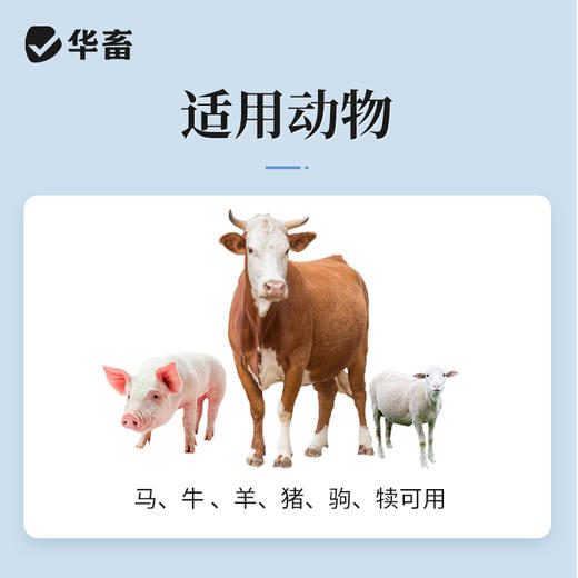 华畜兽药80万单位青霉素钾注射用猪牛羊猫狗鸡鸭抗菌消炎混合感染 商品图2