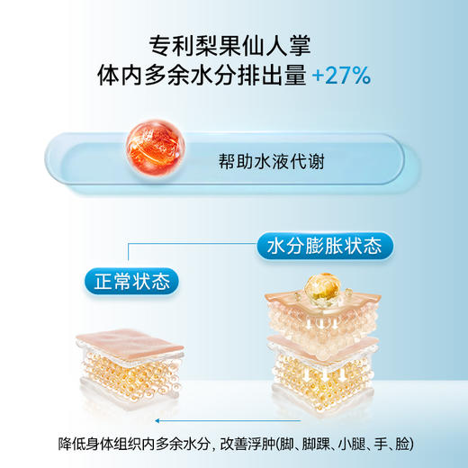 【速湿轻】健脾益气 / 行气化湿  更快排水控体  拿捏理想曲线~ 商品图8