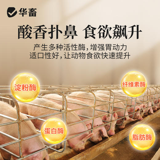 华畜全能促长王催肥宝促生长开胃促食早出栏猪牛羊催肥增重长肉 商品图4