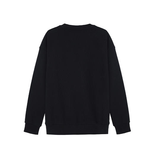 【断码清仓】HX 冬季圆领卫衣S106440104101/02 商品图1