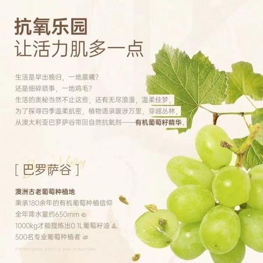 Plant voice 植物语录烟酰胺植萃精油护手霜50g(外包装轻微磨损) 商品图5