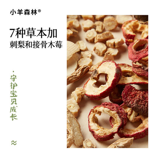 【清正饮】草本浓缩 清甜果味 养愈活力 加固正气屏障 lc 商品图3