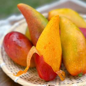 【分仓直发包邮】海南辣椒芒2斤装（1斤约10个）