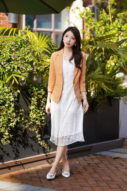 XL1XXL1臣禾	【刺绣真丝裙】  V领中长款连衣裙	JZ251020138 商品图6