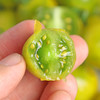 【青甜2号绿色小番茄 】 酸甜可口 脆嫩多汁 新鲜应季蔬果 顺丰/京东发货 3斤装 商品缩略图3