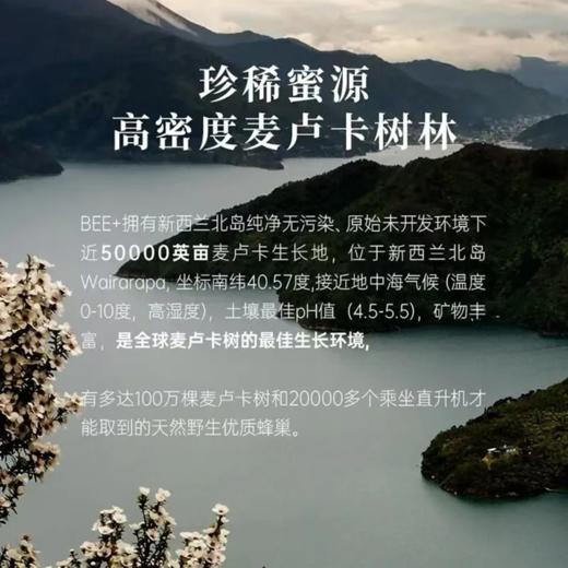 BEE+麦卢卡蜂蜜UMF15+ 250克罐（新包装） 商品图4