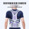 ZEAMO双龙骨矫姿带升级款 商品缩略图1
