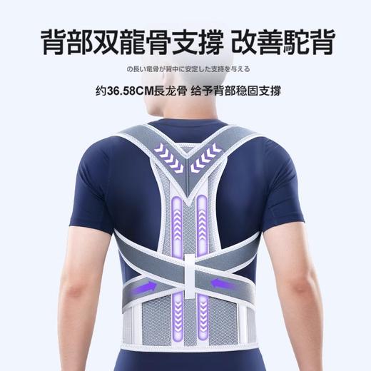 ZEAMO双龙骨矫姿带升级款 商品图1