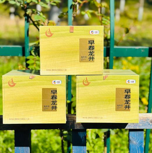 中茶龙冠龙井|2025龙冠龙井，龙井之冠，龙（隆）重上市啦~ 这个春天从一杯龙冠龙井开始 ~ 商品图8