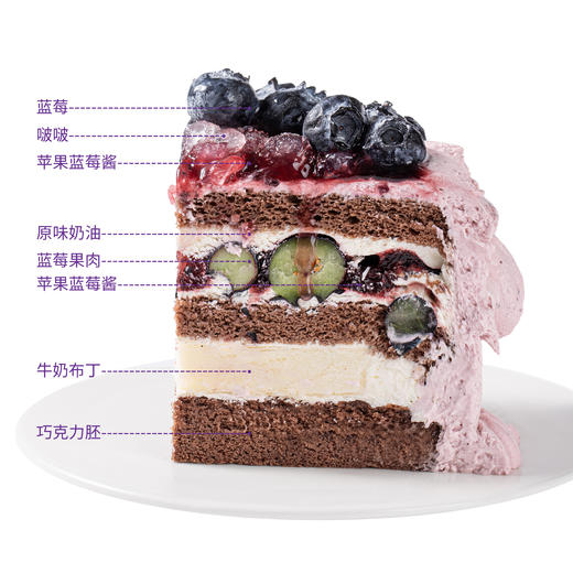 新品-莓莓物语半糖蛋糕 商品图4