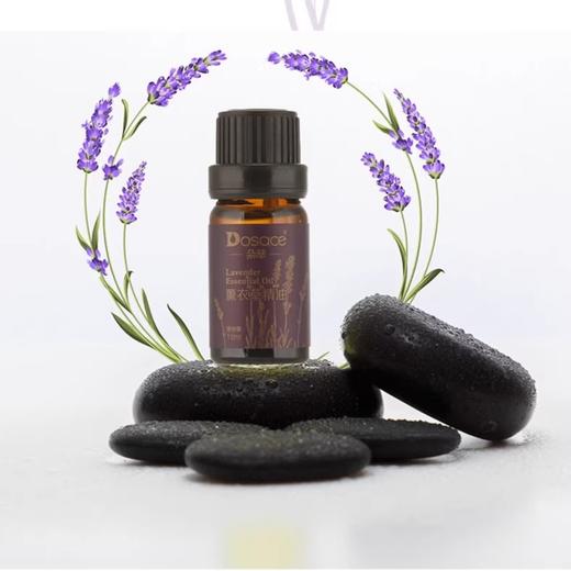 朵萃·薰衣草精油10ml  低温蒸馏萃取 植物精粹 柔润滋养肌肤 商品图1