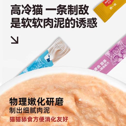 顽皮猫咪零食猫条成幼猫湿粮欧一吸100支整箱营养补水鲜包猫罐头 商品图2