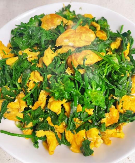 春季鲜荠菜 商品图5