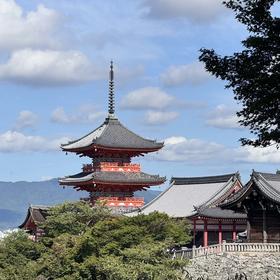 嘉德教育|访古日本·国宝艺术巡礼2025.6.10-15