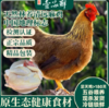 一品鲜清远鸡 足天 现杀发货 净重1.3千克以上 商品缩略图0