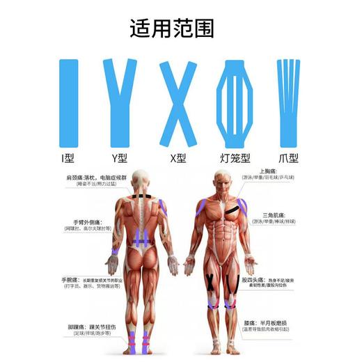 跑能运动肌效贴5米/粘力更足/出汗不掉/颜色绚丽 商品图5