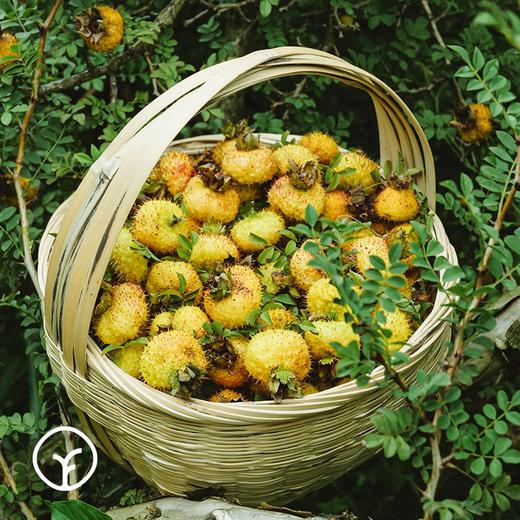 有机刺梨汁原液 50ml*10袋*2盒 商品图1