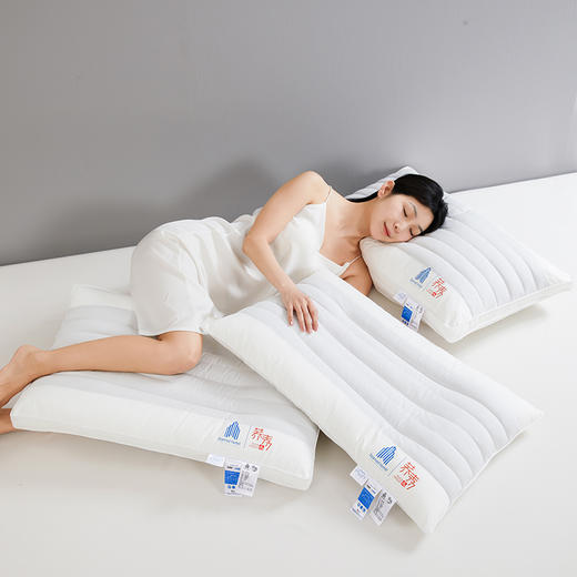 自然醒全棉酒店荞麦枕头枕芯助睡眠护颈椎专用五星酒店家用套装一对成人男定型XK 商品图1