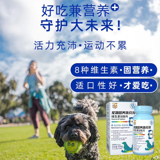 合宠(维生素B族片) 商品图4