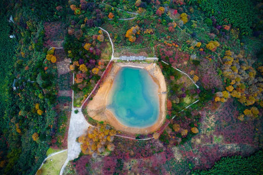 2025氧气旅行团——“春游余姚 花‘漾’宠你”四明山之旅 商品图1