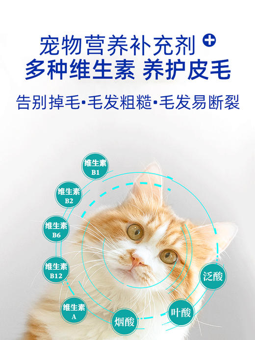 合宠(维生素B族片) 商品图6
