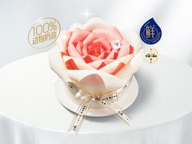 礼品卡【爱的宣言】6英寸冰淇淋/水果生日蛋糕