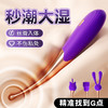 谜姬挑逗点潮笔紫色震动棒成人用品情趣玩具女用器入体 商品缩略图0