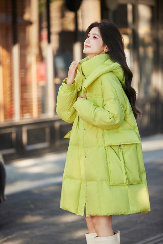 HAYES 长款白鸭绒外套 19851 商品图4