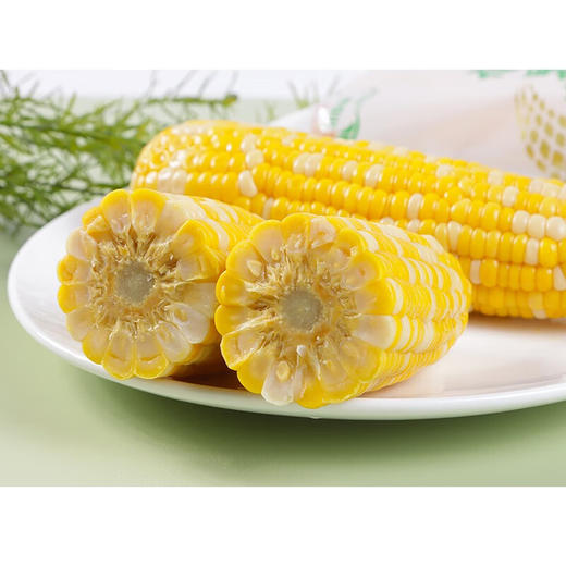 【分仓直发包邮】小农仙有机水果玉米1200g（6支装） 商品图3
