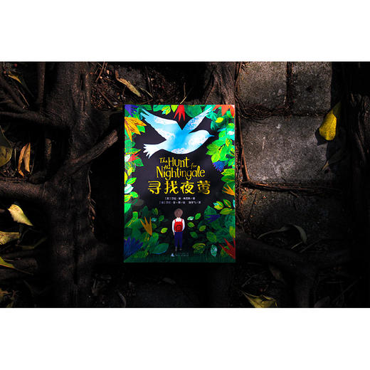 【独秀书香卡】魔法象·故事森林  寻找夜莺 8-14岁 心灵成长 生命教育 情感治愈 亲子沟通 商品图2