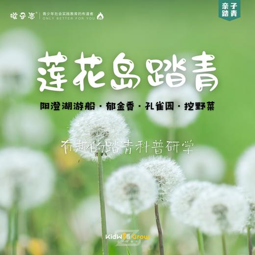 孩子志 | 苏州莲花岛 踏青研学 4/4、4/5、4/6【VIP优惠】阳澄湖游船、郁金香、孔雀园、挖野菜、游乐园，亲子/独立，专车/自驾，一起来体验挖野菜的乐趣.. 商品图0