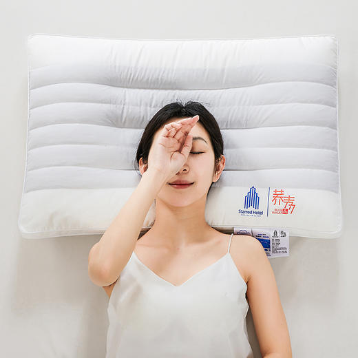 自然醒全棉酒店荞麦枕头枕芯助睡眠护颈椎专用五星酒店家用套装一对成人男定型XK 商品图3