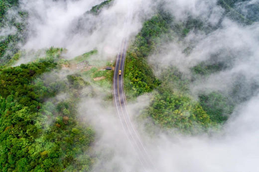 2025氧气旅行团——“春游余姚 花‘漾’宠你”四明山之旅 商品图3