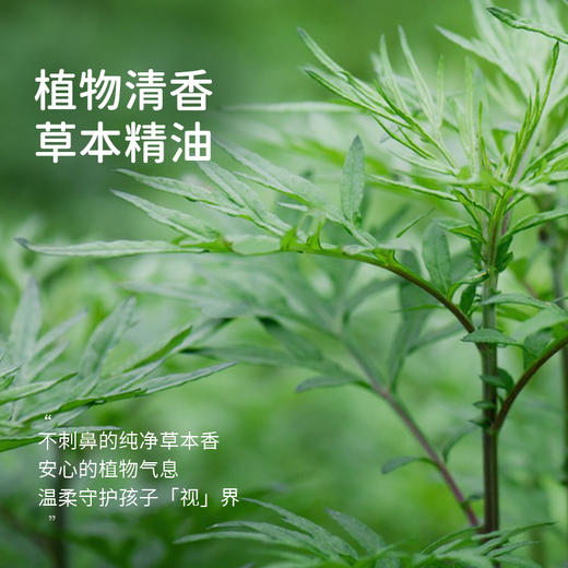 「清见润目贴」草本植物 清润滋养 眼睛明亮亮 商品图2