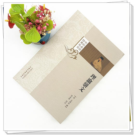 理瀹骈文（中医必读经典丛书）(清) 吴师机 撰 中医药出版社 商品图1