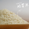 香畴胚芽米 | 500g/袋 火山岩石板大米 东北原生态原粮 自然农法种植 不抛光不打蜡 谦益农业 商品缩略图0
