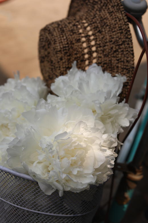 【预售！4.20起陆续发出】婚纱芍药【从今以后，各种辛苦就会像漫长的雨，但只要和你在一起，我就能忍受】简小姐命名的白芍药 婚纱 2件包邮 顺丰空运 商品图5