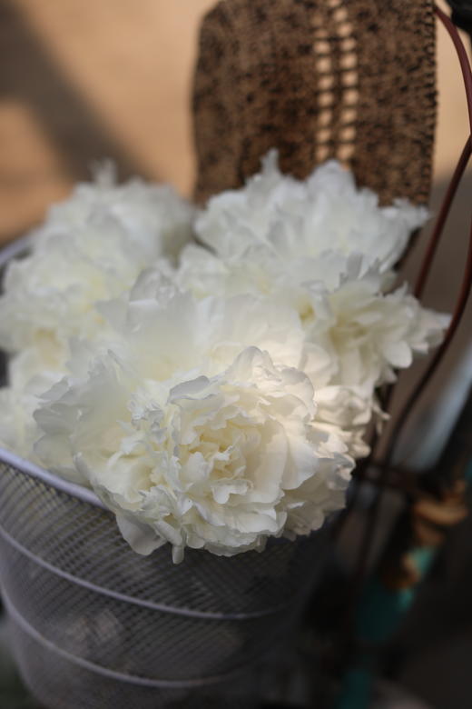 【预售！4.20起陆续发出】婚纱芍药【从今以后，各种辛苦就会像漫长的雨，但只要和你在一起，我就能忍受】简小姐命名的白芍药 婚纱 2件包邮 顺丰空运 商品图4