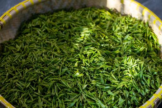 西湖龙井明前茶特级 梅家坞核心产区 25年新茶 非遗传承人孙琦大师出品 商品图7