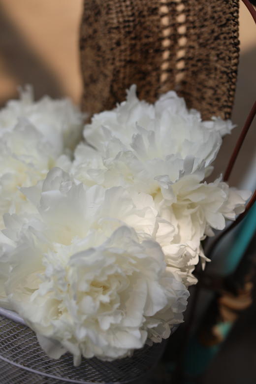 【预售！4.20起陆续发出】婚纱芍药【从今以后，各种辛苦就会像漫长的雨，但只要和你在一起，我就能忍受】简小姐命名的白芍药 婚纱 2件包邮 顺丰空运 商品图3