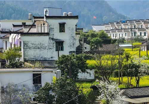 【花开婺源】婺源全景瓷都景德镇5日4晚动去高回5日4晚跟团游●4晚连住不挪窝+婺源徽州餐体验 商品图7