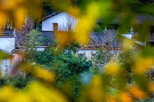 【花开婺源】婺源全景瓷都景德镇5日4晚动去高回5日4晚跟团游●4晚连住不挪窝+婺源徽州餐体验 商品图3