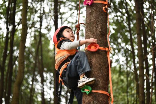 12.20/1.3下午场，凤凰山【周末攀树半日营】岩点，云梯攀树，寻找向上的生命力，开启户外挑战第一课！169元/儿童，家长可陪同（不参与活动），自行前往 商品图13