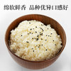大米一级优质米梗米带胚芽五谷杂粮熬米油新米产地发 2.5kg 商品缩略图2