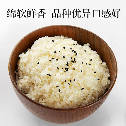 大米一级优质米梗米带胚芽五谷杂粮熬米油新米产地发 2.5kg 商品图2